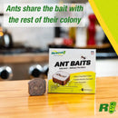 RESCUE! Ant Bait Indoor 4 Bait Stations Rescue!