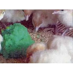 Sav-A-Chick Poultry Vitamins & Electrolytes Supplement 20-Pack Sav-A-Caf