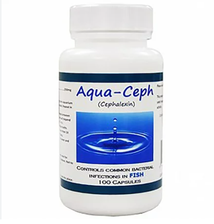 Aqua-Ceph Cephalexin 250mg 100CT