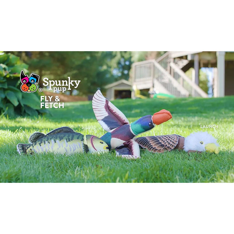 Spunky Pup Fly & Fetch Fish Dog Toy Spunky Pup