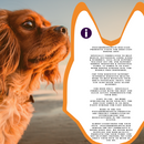 Piccardmeds4pets Digi-Eaze Probiotic Paste for Dogs Easy Dosing 30cc