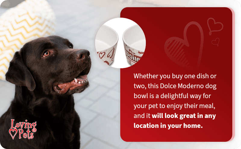 Loving Pets Dolce Moderna Bowl Bad To The Bone, 5.92 Cups LG