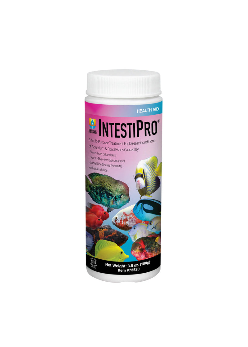 Hikari IntestiPro for Aquarium 3.5oz.