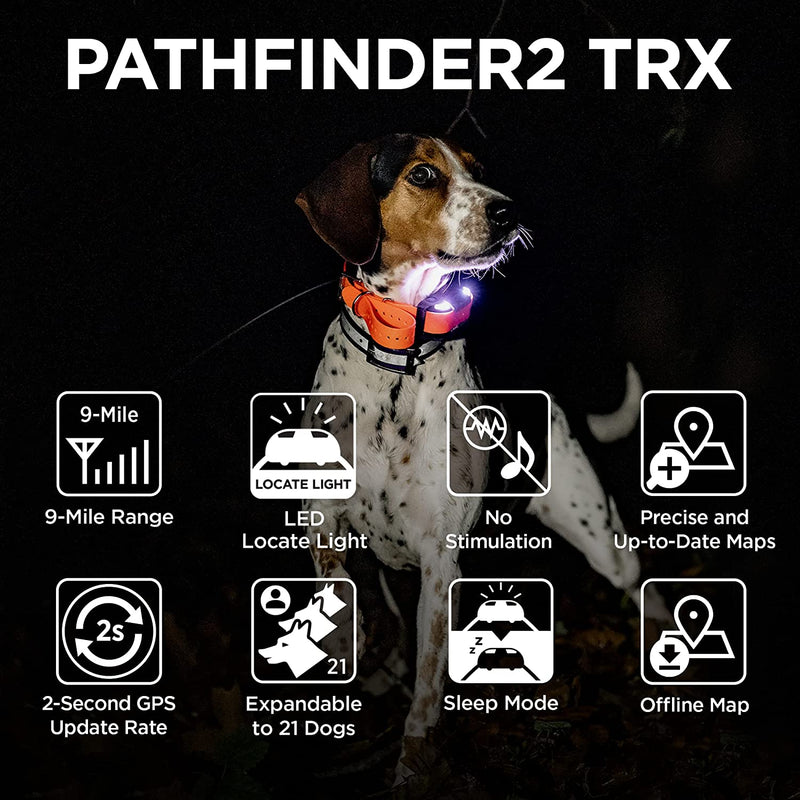 Dogtra Pathfinder2 TRX Additional Receiver Dog Collar, Orange Dogtra