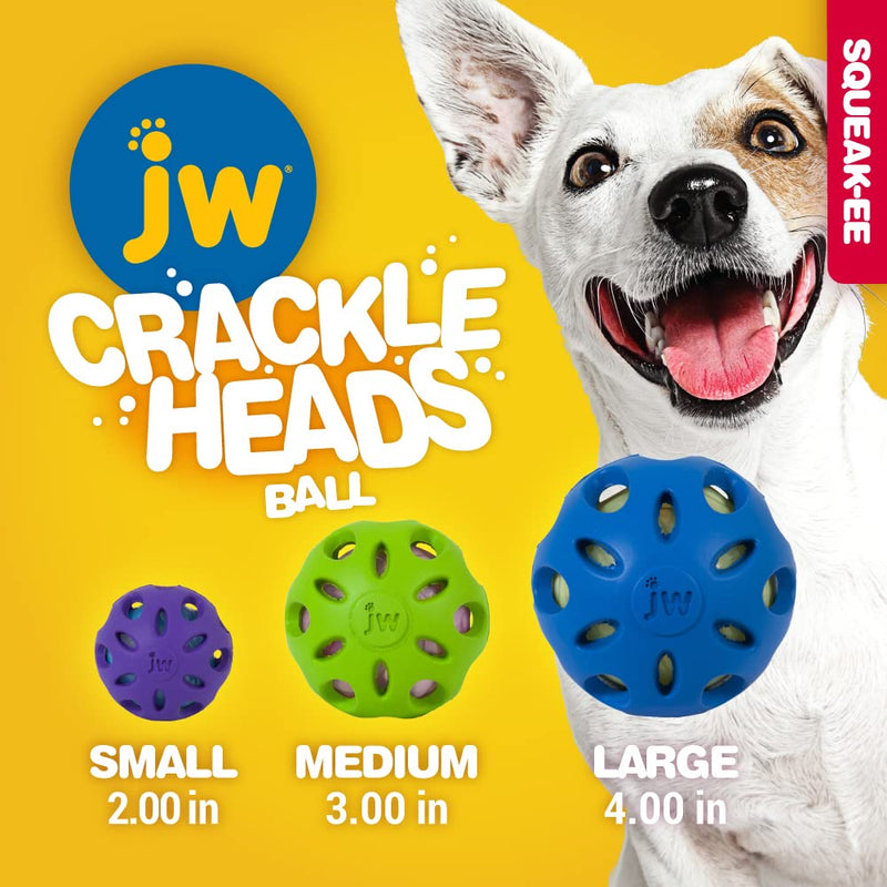 JW Pet Crackle Heads Crackle Ball Crunchy Noise Chew Fetch Toy for Dogs, Assorted Colors, Large 4' Diameter