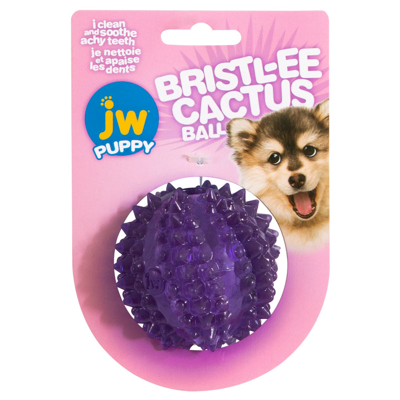 JW Pet BRISTLY Cactus Ball Dog Toy, Purple