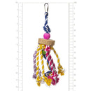 Prevue Pet Products Court Jester Bird Toy Prevue Pet Products Inc