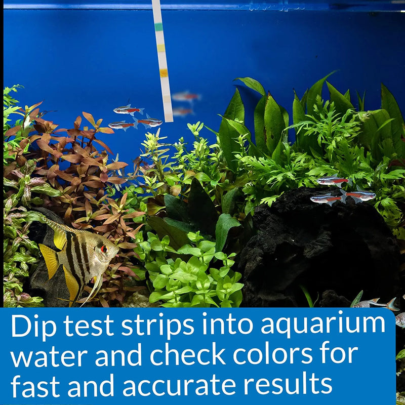 API 5-IN-1 Test Strips Freshwater and Saltwater Aquarium 25-Count Box API