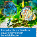 API Quick Start Freshwater and Saltwater Aquarium 4 oz. API