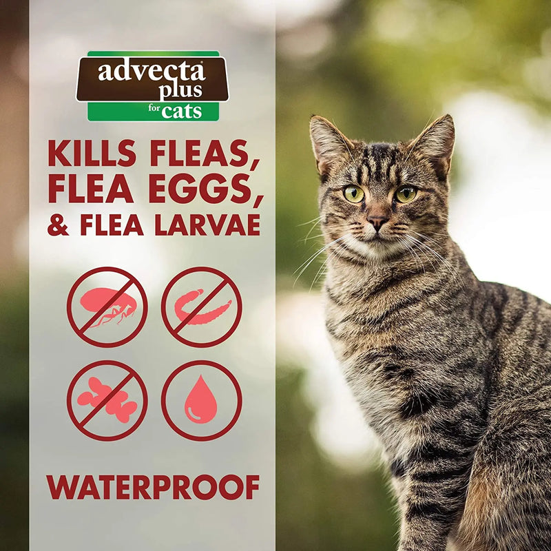 Advecta Plus Flea Protection Squeeze-On for Cats Over 9lbs 4CT Advecta