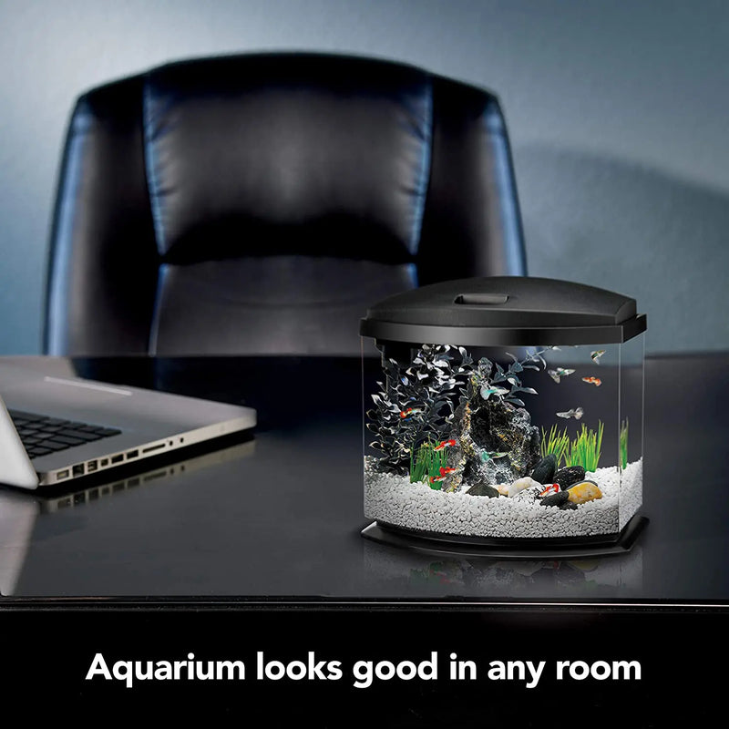 Aqueon LED MiniBow Aquarium Kit with SmartClean Technology Black 5 Gallons Aqueon