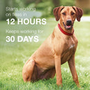 Bayer K9 Advantix II Flea Treatment for Large Dog 6 Month Supply Bayer