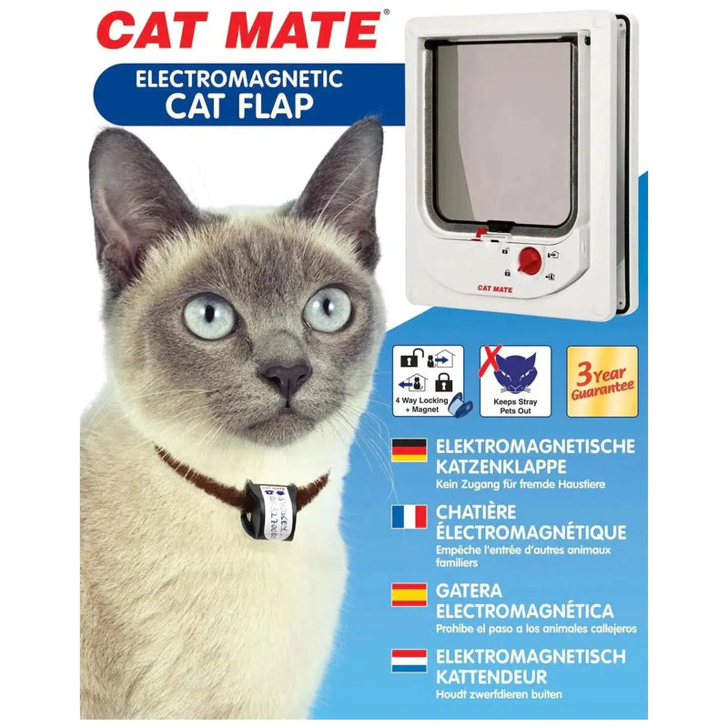 Chatiere cat outlet flap