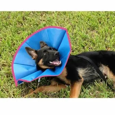 ElizaSoft Recovery Flexible Elizabethan Dog Collars VetOne