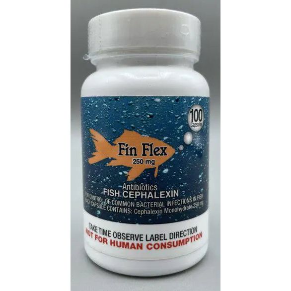 Fin Flex Antibiotics Cephalexin Capsules 250mg 100CT Fin Fix