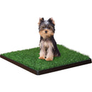 Four Paws Wee-Wee Patch Indoor Potty Small 20" x 20" x 1" Four Paws