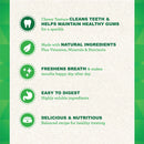 Greenies Original Dental Chews Oral Health for Dogs Petite 10CT Greenies