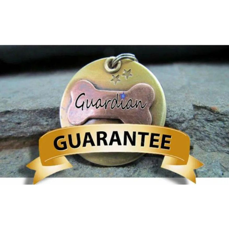 Guardian One Flea Monthly Prevention Cap for Dogs 20-25lbs 6ct Guardian