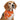 Halloween Aria Bright Trick Or Treat Dog Bandanas 19" Aria