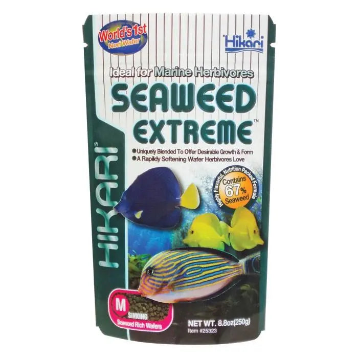 Hikari Seaweed Extreme Medium 8.8 oz. Sinking Type Hikari