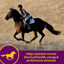 Horse Health Red Cell Vitamin-Iron-Mineral Supplement 1Gal Horse Health