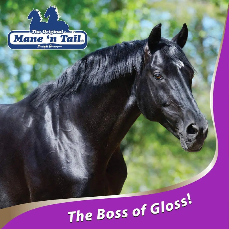 Mane 'n Tail Ultimate Gloss Horse Conditioner Gentle Formula 32oz Mane 'n Tail
