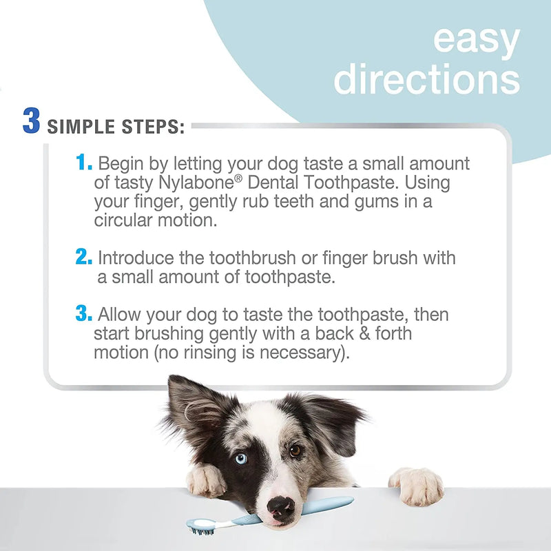 Nylabone Advanced Oral Care Dog Dental Kit Original Flavor 2.5oz. Nylabone