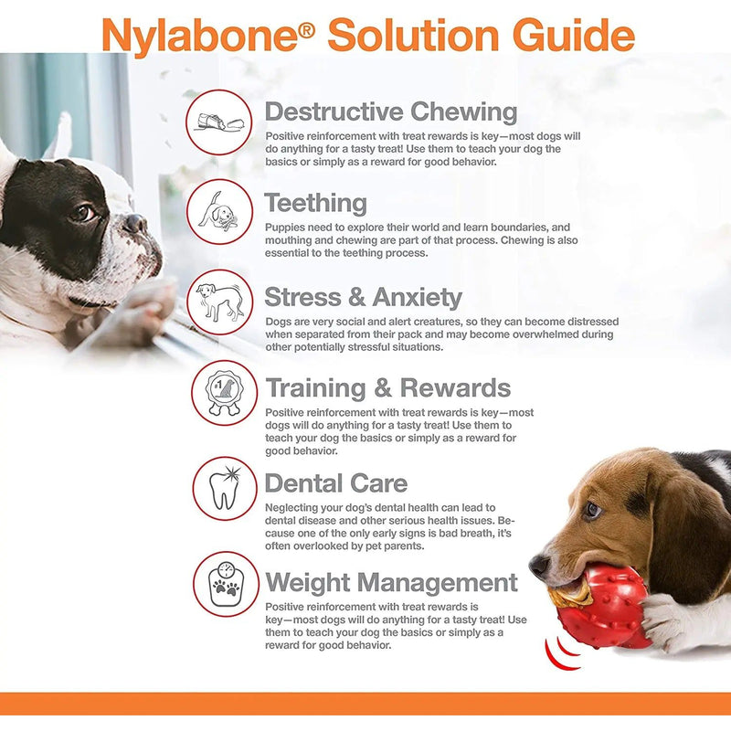 Nylabone Dental Dinosaur Power Chew Durable Dog Toy, Regular Nylabone