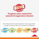 Nylabone Giant Bone Dog Chew Toy Bacon & Chicken Flavor Twin Pack Nylabone
