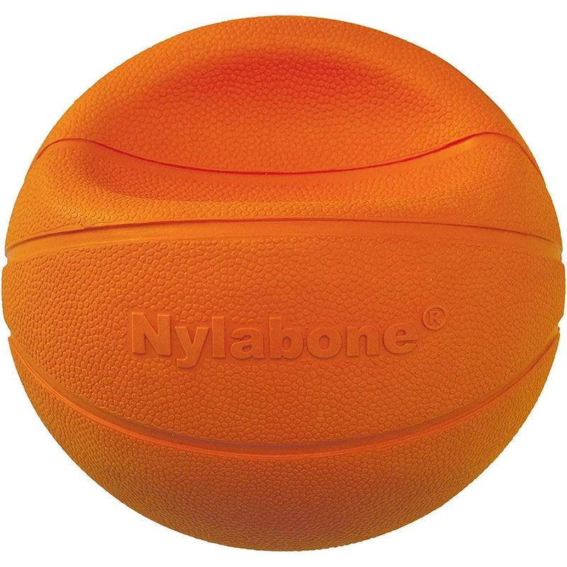 Nylabone Power Play Crazy Ball Dog Toy, Large