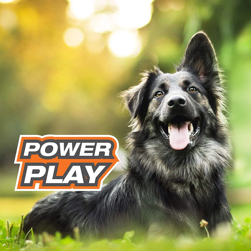 Nylabone Power Play Crazy Ball Dog Toy, Large