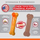 Nylabone Puppy Power Tough Chew Toys Twin Pack, Small/Regular Nylabone