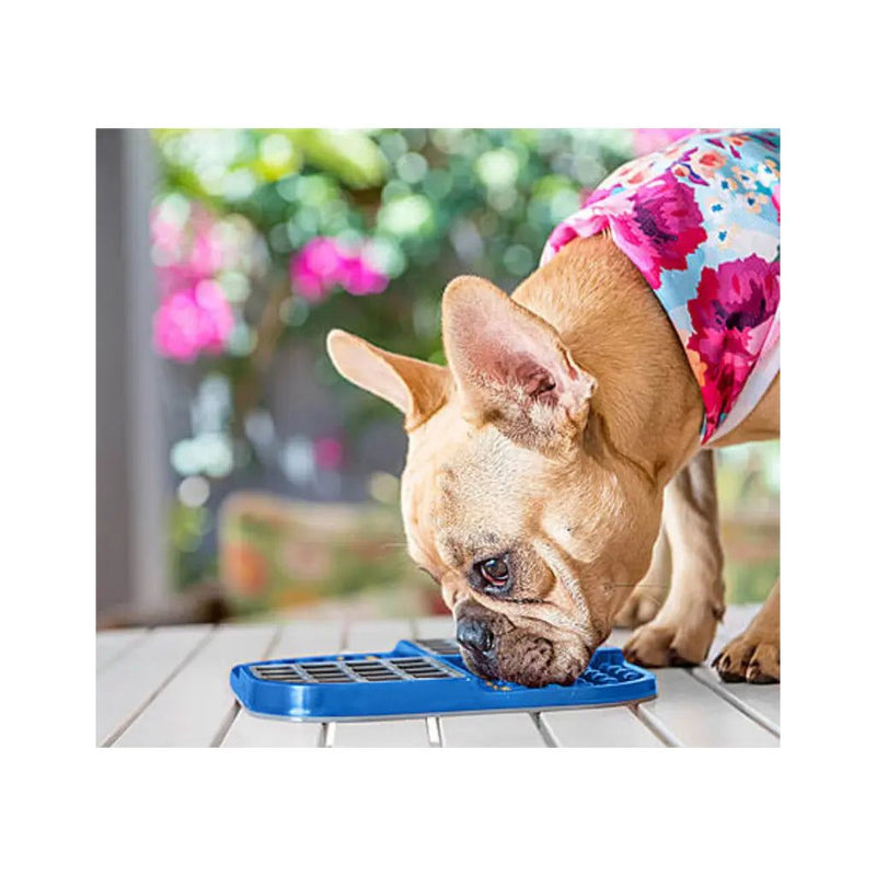 https://piccardpets.com/cdn/shop/products/Pet-Zone-Pet-Boredom-Busters-Duo-Slow-Feeder-Licking-Mat_-Blue-Pet-Zone-1680747351_800x.jpg?v=1680747353