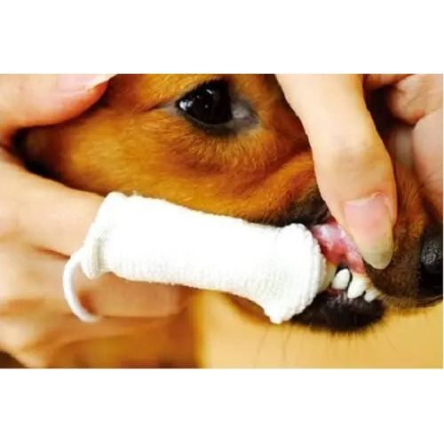 Petosan Microfiber Fingerbrush Oral for Dogs Petosan