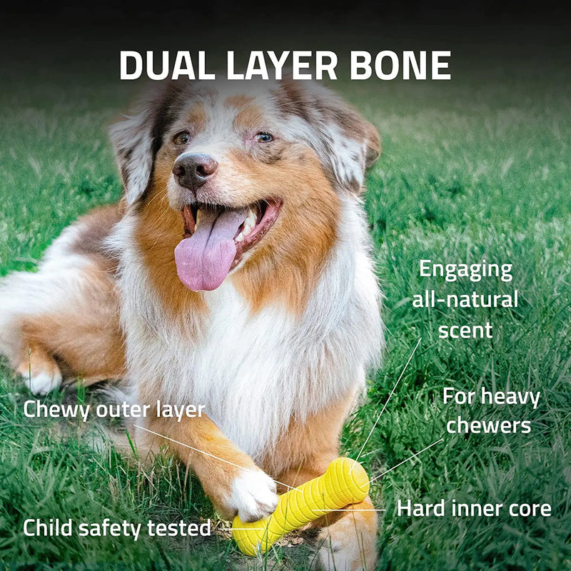 Playology Dual Layer Bone Dog Toy All-Natural Beef Scent, Medium PLAYOLOGY