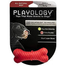 Playology Dual Layer Bone Dog Toy All-Natural Beef Scent, Small PLAYOLOGY