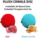 Playology Plush Crinkle Disk Dog Toy Beef Scent, Large PLAYOLOGY