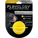 Playology Squeaky Chew Ball Dog Toy All Natural Chicken, Med/LG PLAYOLOGY