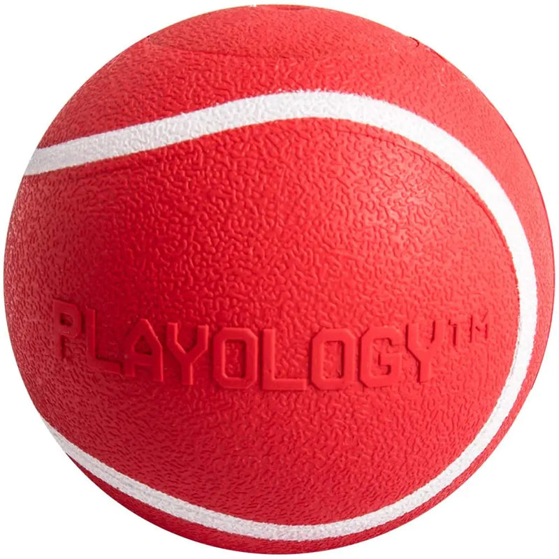 Playology Squeaky Chew Ball Dog Toy Natural Beef Scent, XL PLAYOLOGY