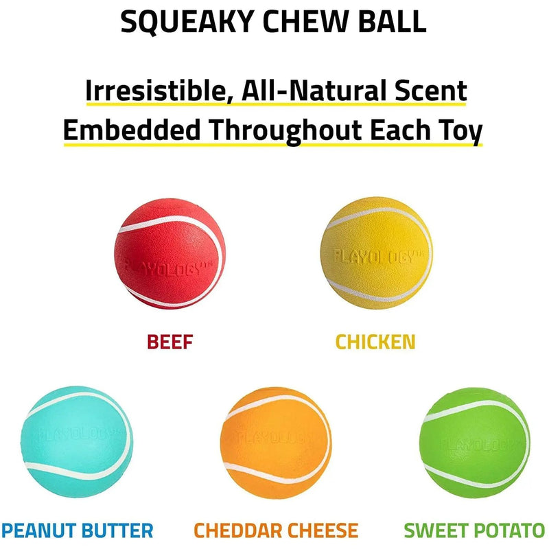 Squeaky Chew Ball Dog Toy - Chicken, Beef, Peanut Butter, and more Flavors  - Playology