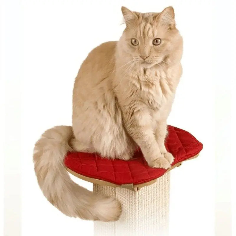 SmartCat Pioneer Pet Ultimate Scratching Post and Post Perch Pad SmartCat