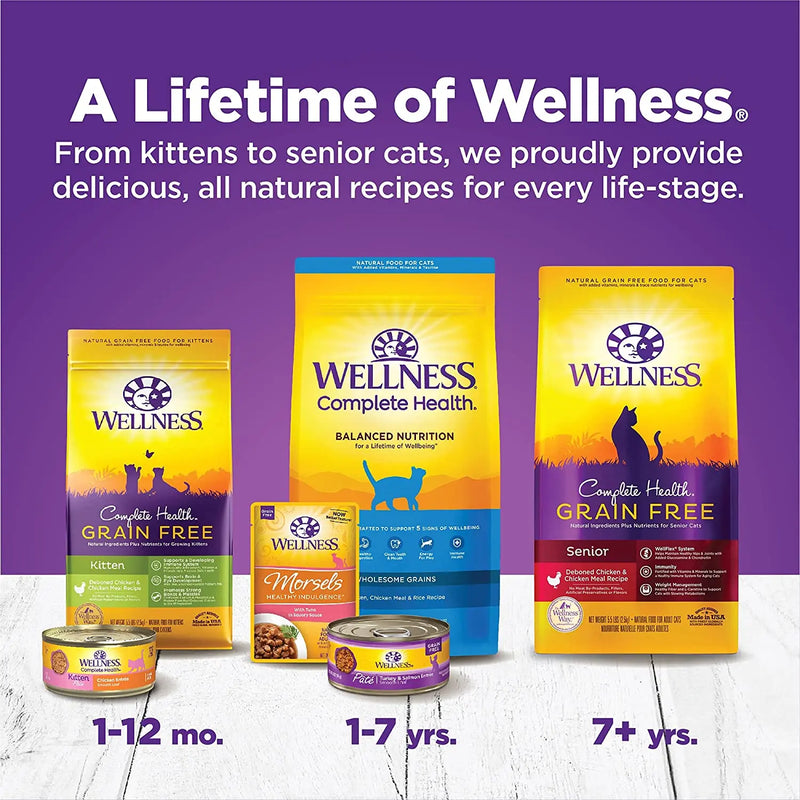 Wellness Complete Health Pâté Kitten Chicken Entrée Canned Wet Cat Food Wellness Natural Pet Food
