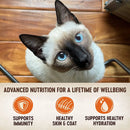 Wellness Core Signature Selects Chicken & Chicken Liver Sauce Cat Food 2.8 oz Wellness Natural Pet Food
