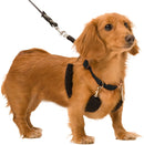 Yup Sporn Training Dog Halter Harness Small Black Sporn