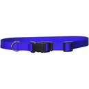 Coastal Pet Products 1-Inch Nylon Adjustable Dog Collar, Large, Blue Coastal Pet Products
