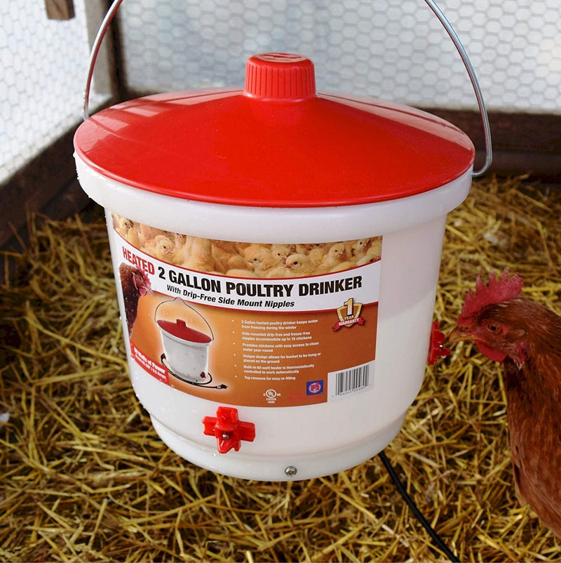 Farm Innovators Heated Poultry Drinker 2 Gallon Farm Innovators