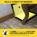 HARRIS Rat and Mouse Glue Trap, Super Size Harris