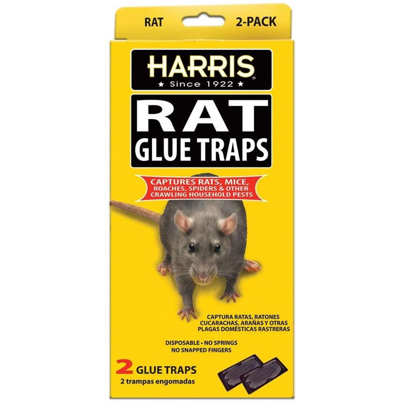 HARRIS Rat Glue Traps, Fully Disposable 2-Pack Harris