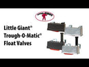 Little Giant Plastic Trough-O-Matic With Expansion Brackets