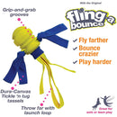 Nylabone Power Play Fling-A-Bounce Interactive Dog Toy, Large Nylabone